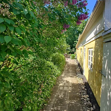 Cozy Summer House Near Nature * Risgarde
